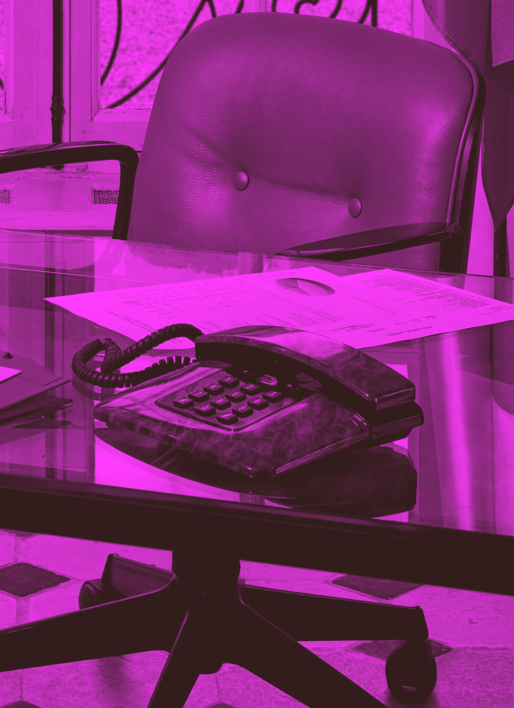 hold-on-please-still-life-thomas-weil-01-rose-noir