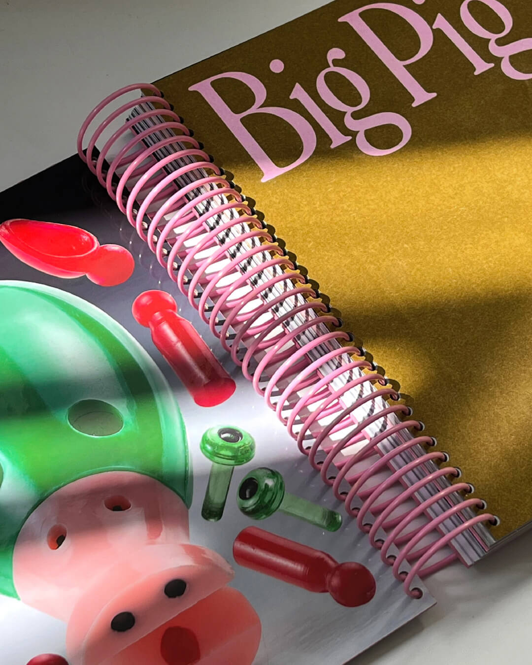 hold-on-please-bigpig-thomas-weil-24