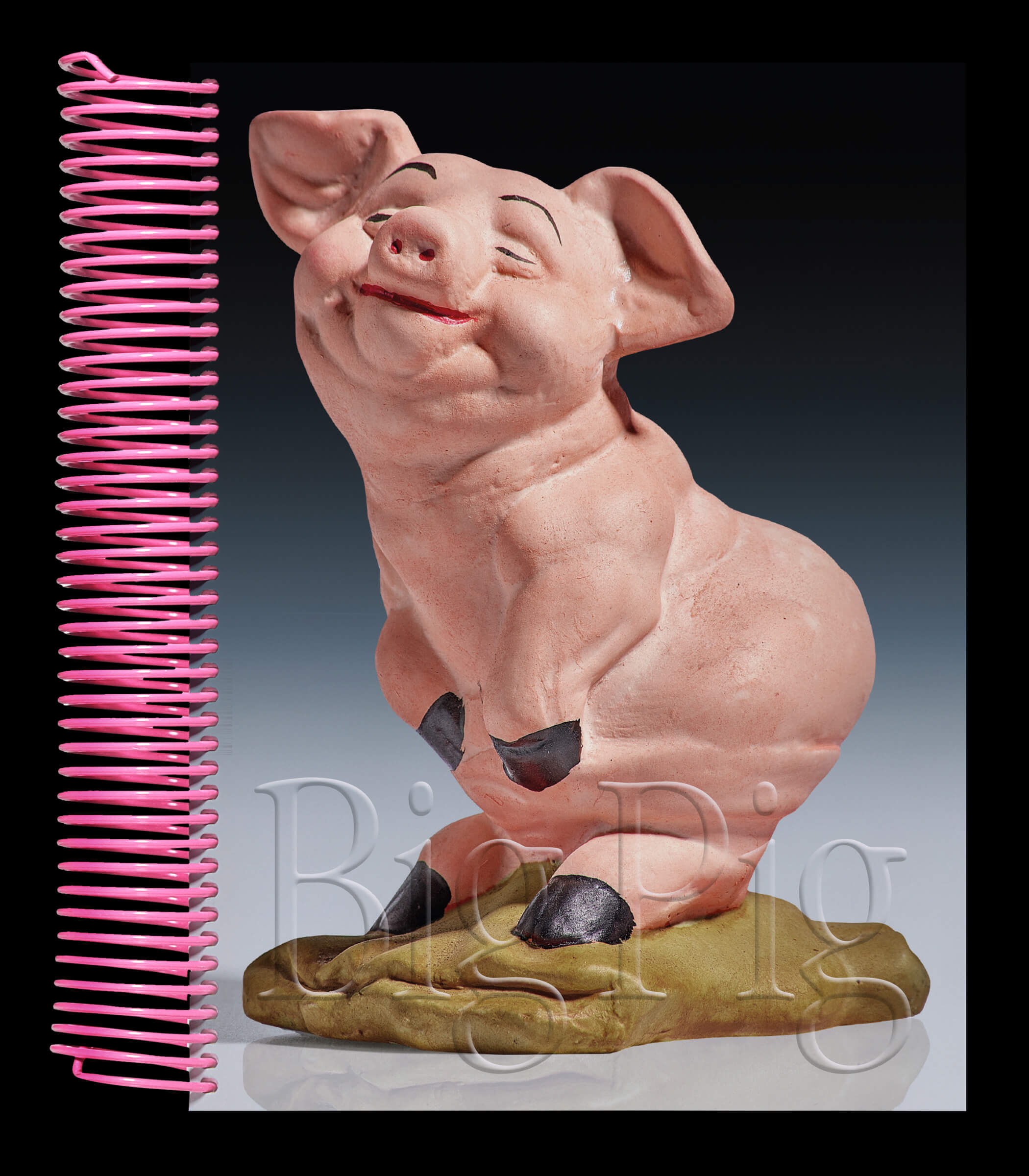 hold-on-please-bigpig-thomas-weil-31