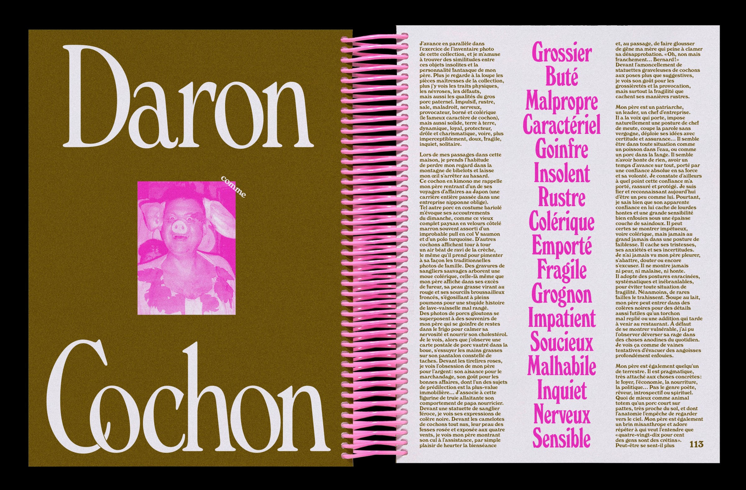 hold-on-please-bigpig-thomas-weil-23