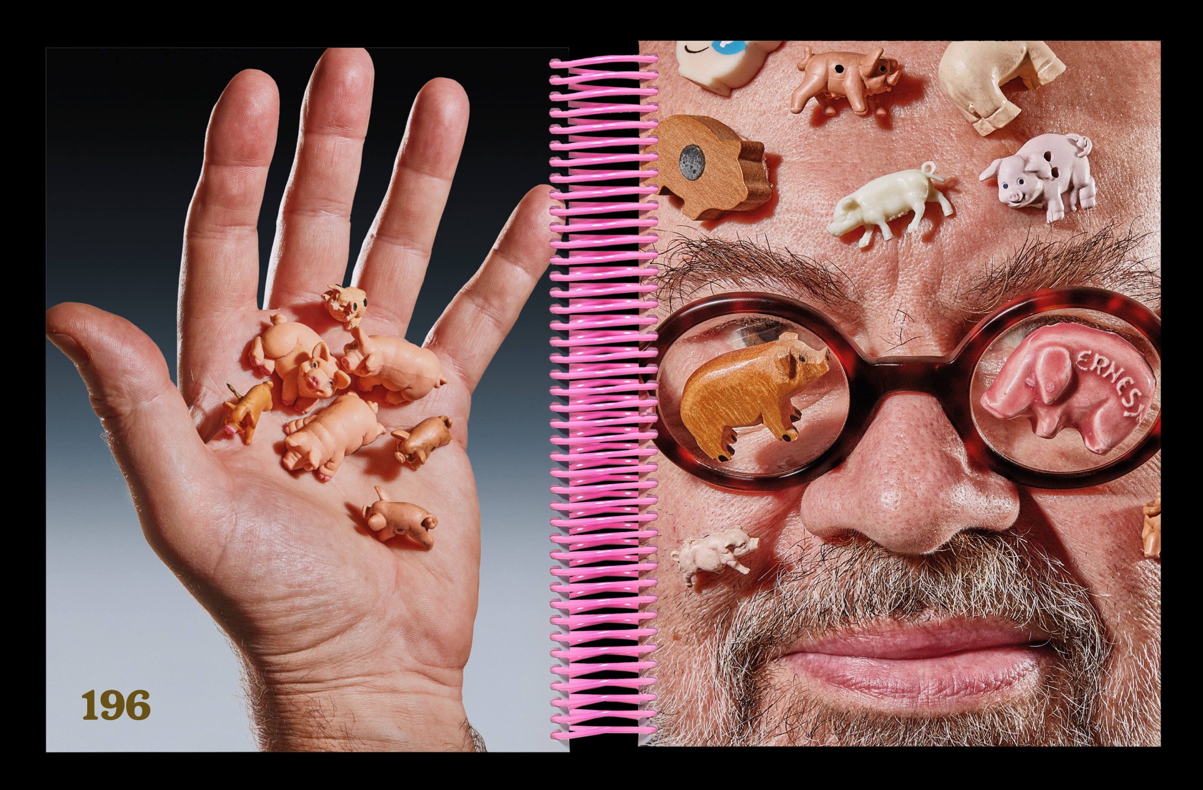 hold-on-please-bigpig-thomas-weil-27