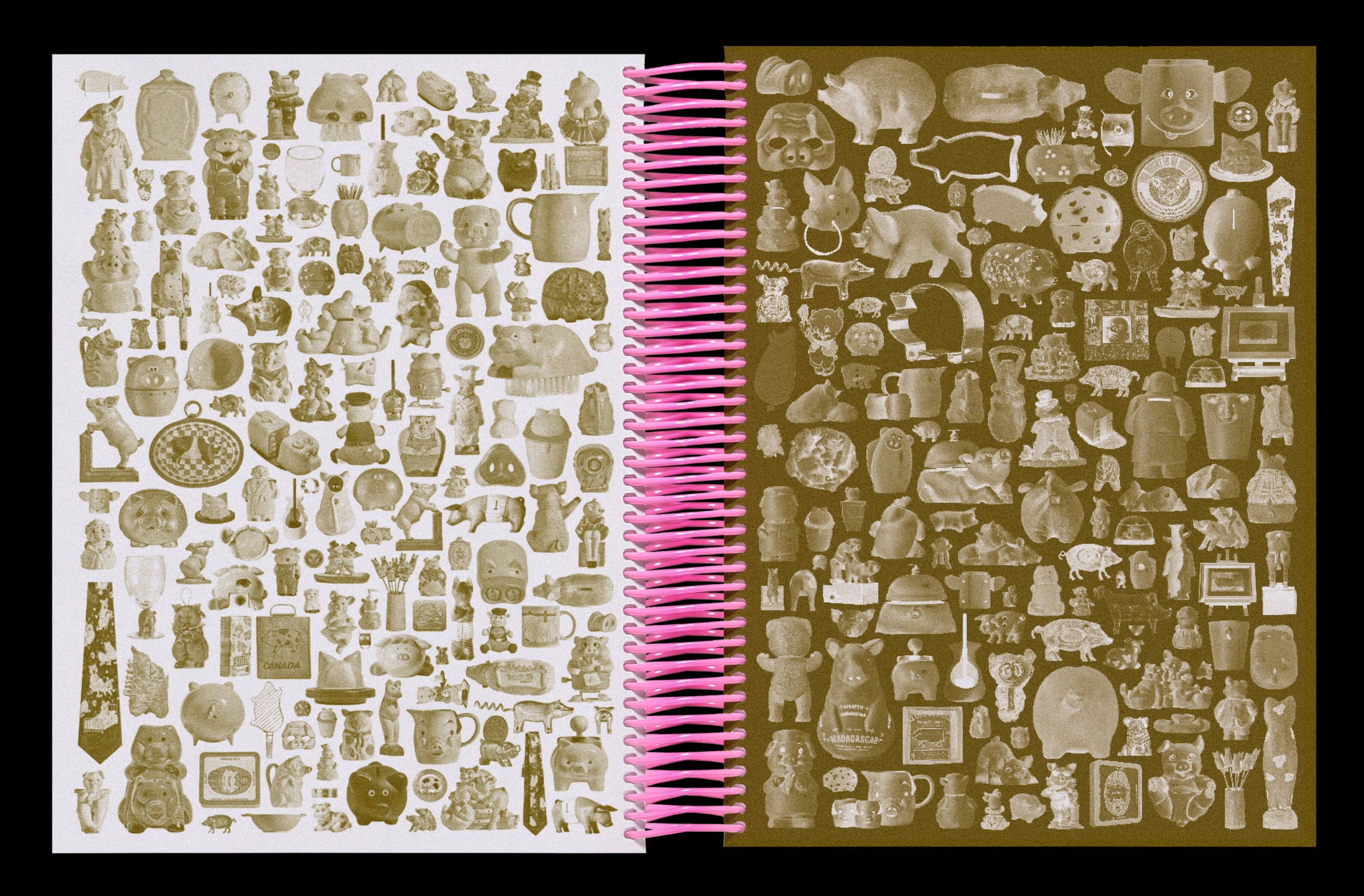 hold-on-please-bigpig-thomas-weil-25