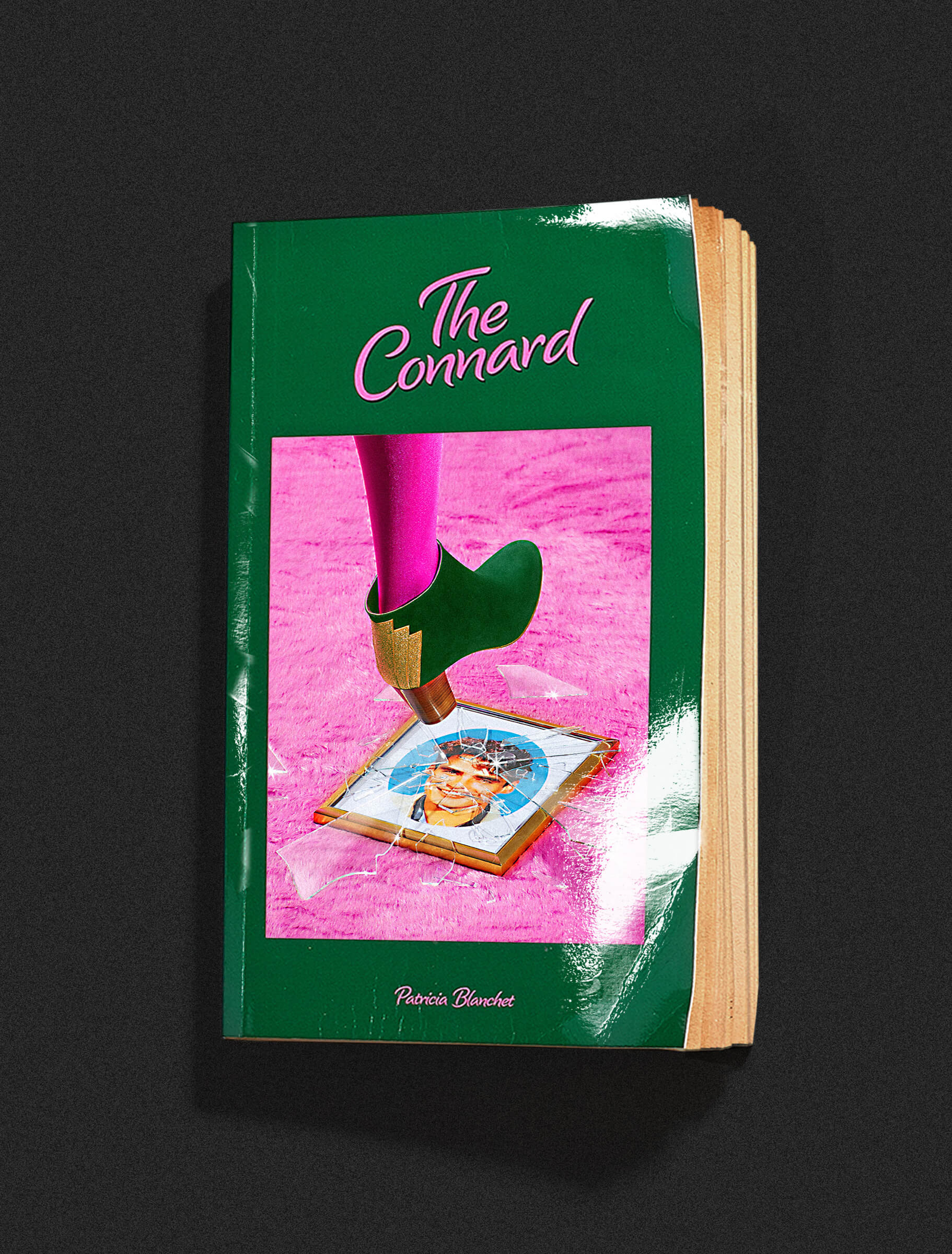 hold-on-please-patricia-blanchet-thomas-weil_01