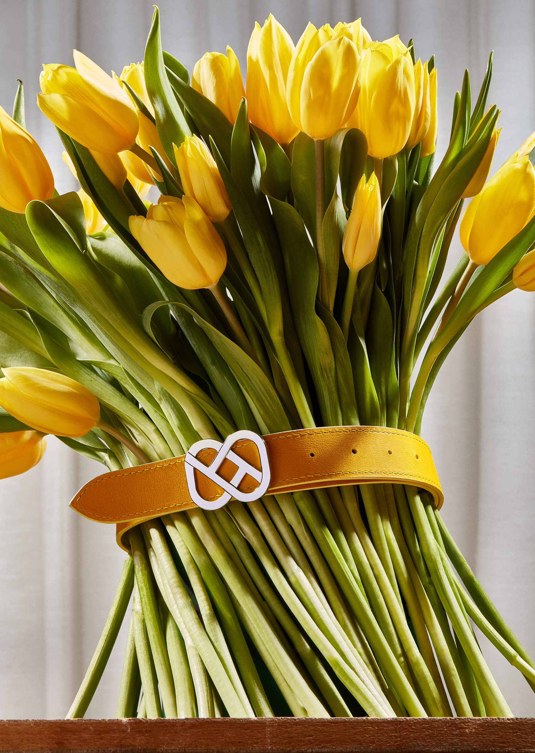 hold-on-please-still-life-thomas-weil-10